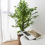 Apartment Aqua Domus *